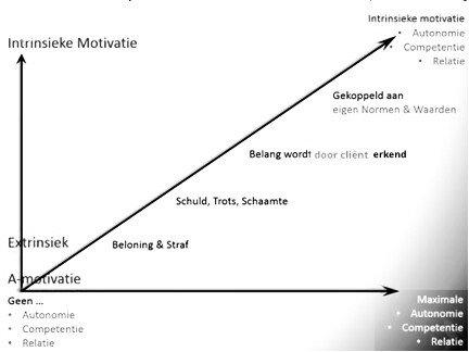 Intrinsieke motivatie en gedragsverandering bij chronische pijn