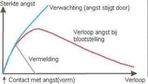 exposure bij chronische pijn, exposure bij pijnzorg